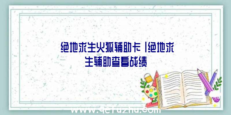 「绝地求生火狐辅助卡」|绝地求生辅助查看战绩